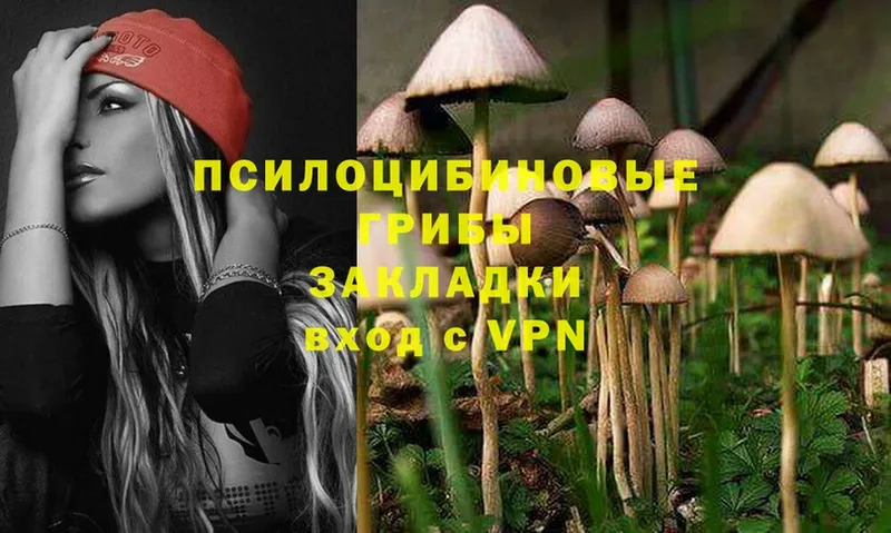 Псилоцибиновые грибы MAGIC MUSHROOMS  Железноводск 